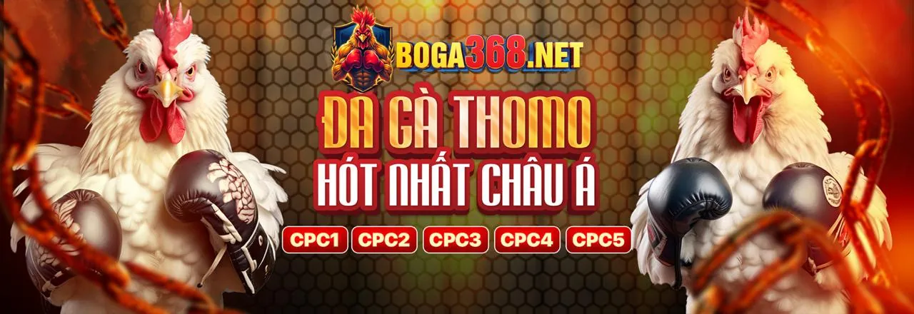 Đá Gà Trực Tuyến ao88 nhà cái